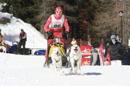 San Bernardino 2008